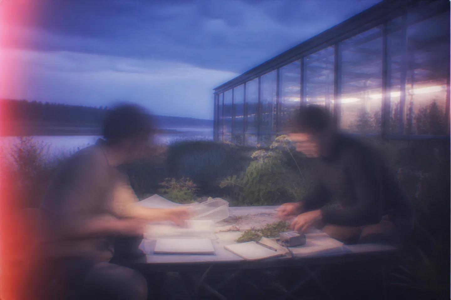 Hands working together with field notes and plant samples